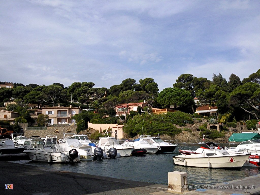 28 octobre 2011  1.jpg - Port Saint Ferréol, commune de Roquebrune sur Argens (83)